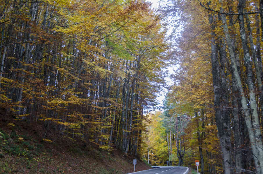 Comunidad Foral de Navarra 144 - valle de Roncal.jpg